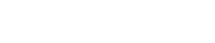 Bull Marketing